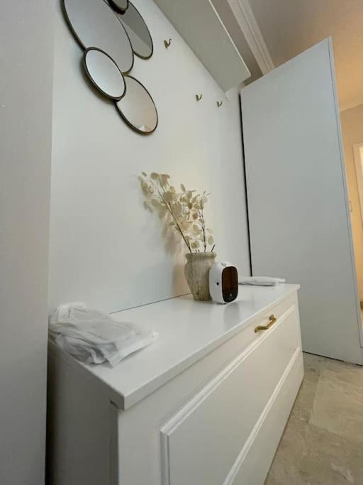Apartament Timisoara 6 外观 照片