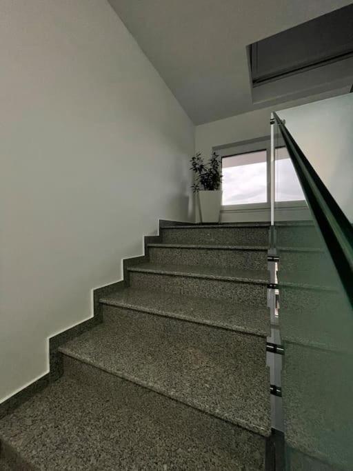 Apartament Timisoara 6 外观 照片